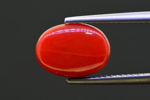 4.85 cts Natural Coral (Moonga)