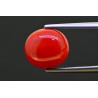 4.75 cts Natural Coral (Moonga)