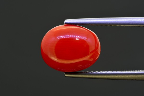 4.69 cts Natural Coral (Moonga)