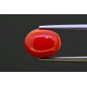 4.69 cts Natural Coral (Moonga)