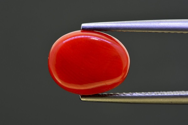 4.69 cts Natural Coral (Moonga)