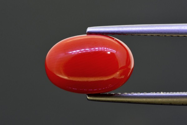 4.49 cts Natural Coral (Moonga)