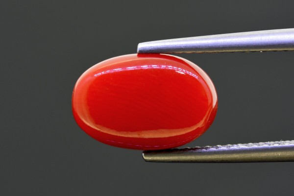 4.49 cts Natural Coral (Moonga)