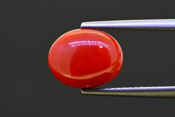 4.47 cts Natural Coral (Moonga)
