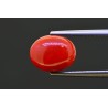 4.47 cts Natural Coral (Moonga)