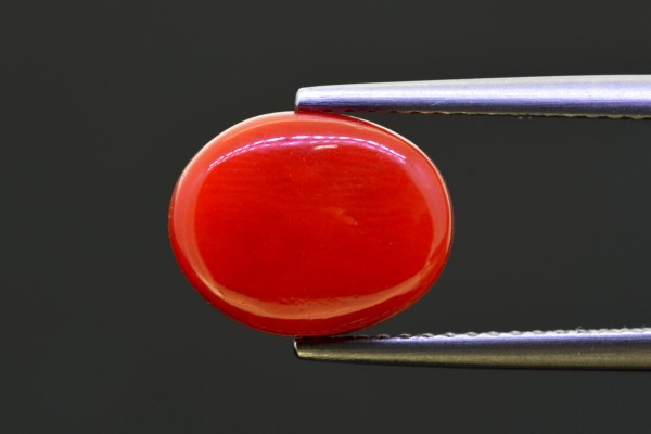 4.47 cts Natural Coral (Moonga)
