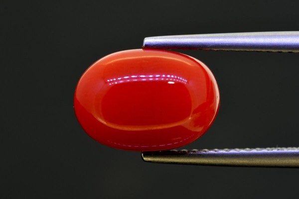 5.28 cts Natural Coral (Moonga)