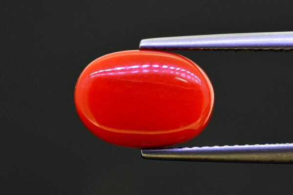 5.28 cts Natural Coral (Moonga)