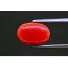 5.28 cts Natural Coral (Moonga)