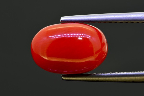 5.17 cts Natural Coral (Moonga)