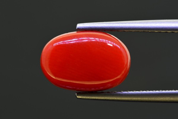5.17 cts Natural Coral (Moonga)