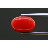 5.17 cts Natural Coral (Moonga)