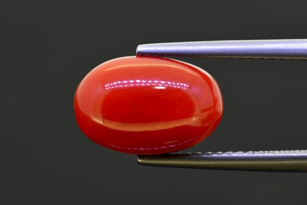 5.25 cts Natural Coral (Moonga)