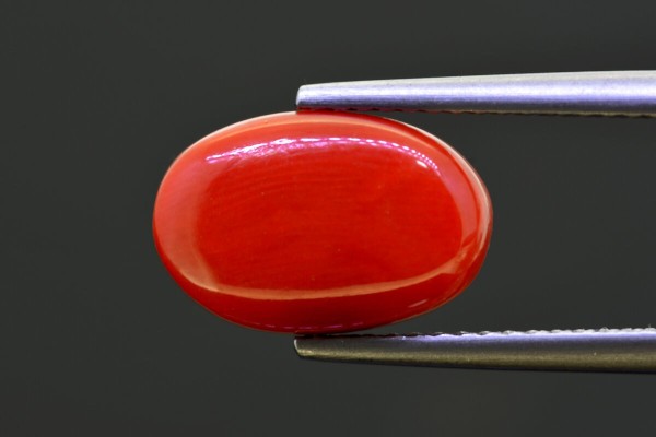 5.25 cts Natural Coral (Moonga)