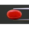 5.25 cts Natural Coral (Moonga)