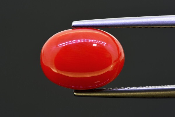 5.18 cts Natural Coral (Moonga)
