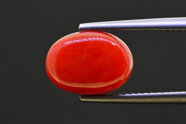 5.18 cts Natural Coral (Moonga)