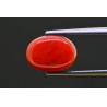 5.18 cts Natural Coral (Moonga)