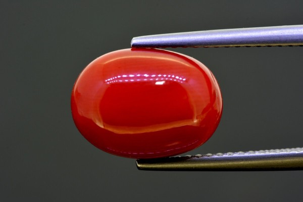5.76 cts Natural Coral (Moonga)