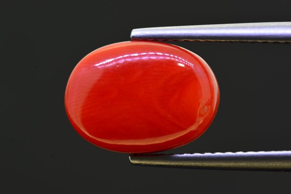 5.76 cts Natural Coral (Moonga)