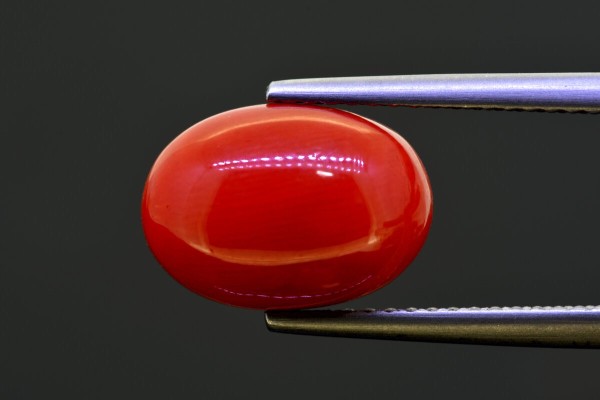 5.3 cts Natural Coral (Moonga)