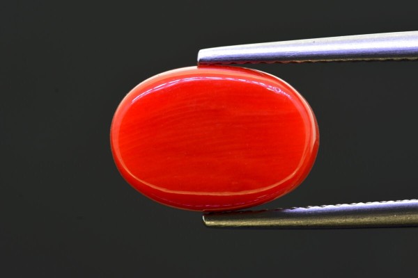 5.3 cts Natural Coral (Moonga)