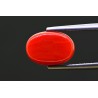 5.3 cts Natural Coral (Moonga)