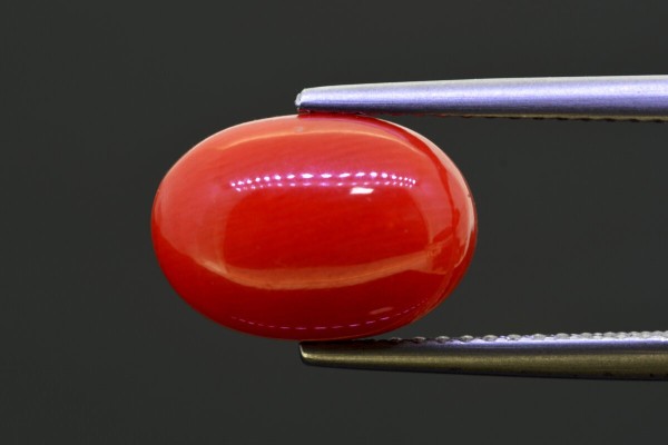 5.23 cts Natural Coral (Moonga)