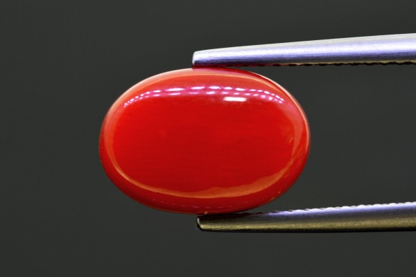 5.23 cts Natural Coral (Moonga)