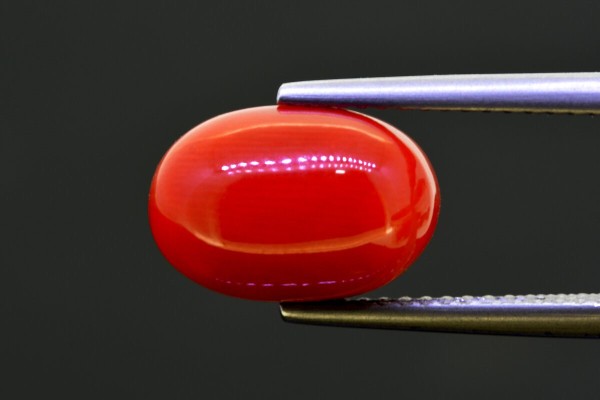 5.12 cts Natural Coral (Moonga)