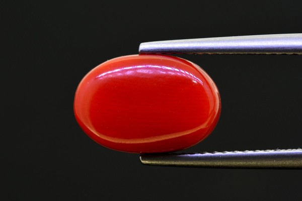 5.12 cts Natural Coral (Moonga)