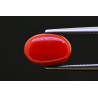 5.12 cts Natural Coral (Moonga)