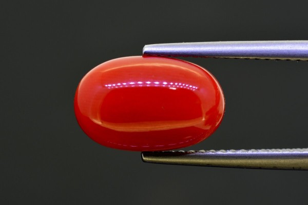 5.08 cts Natural Coral (Moonga)