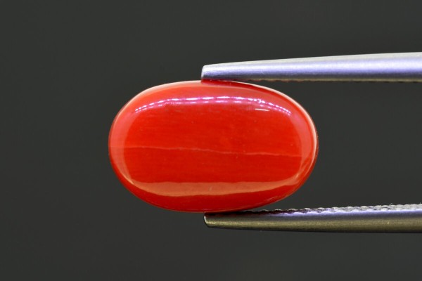 5.08 cts Natural Coral (Moonga)
