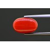 5.08 cts Natural Coral (Moonga)