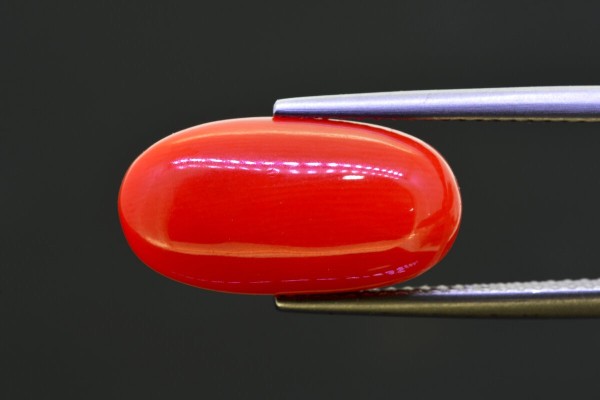 6.69 cts Natural Coral (Moonga)