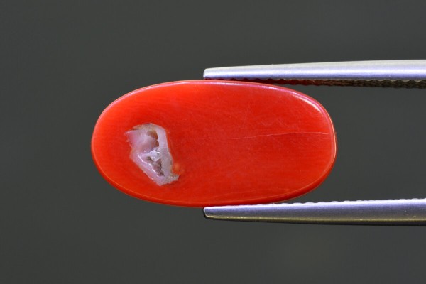 6.69 cts Natural Coral (Moonga)