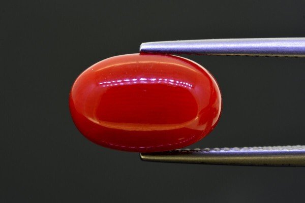 6.62 cts Natural Coral (Moonga)