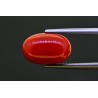 6.62 cts Natural Coral (Moonga)