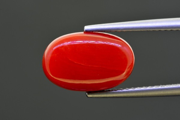 6.62 cts Natural Coral (Moonga)