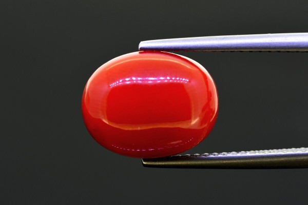 7.23 cts Natural Coral (Moonga)