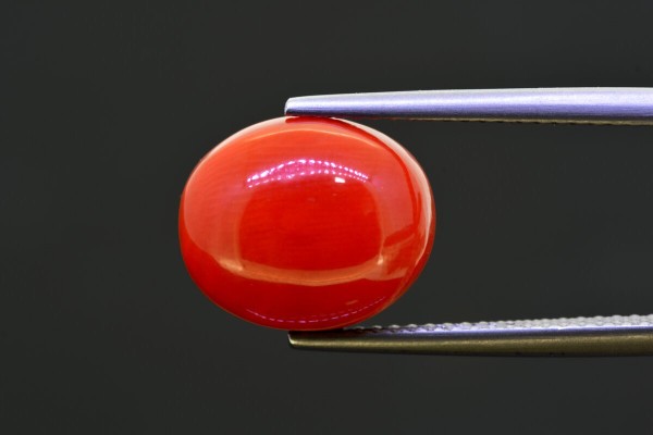 7.61 cts Natural Coral (Moonga)