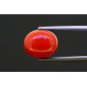 7.61 cts Natural Coral (Moonga)