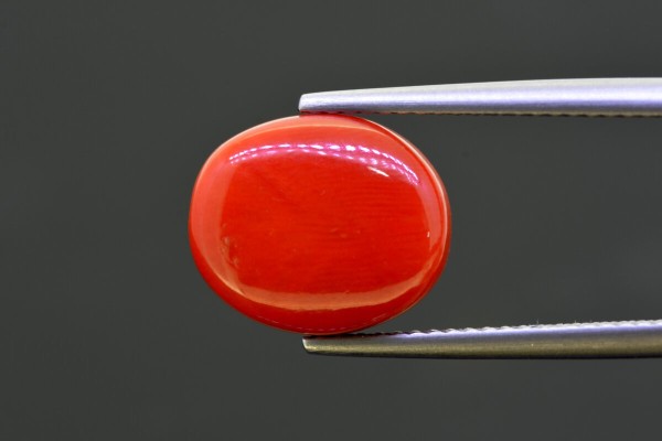 7.61 cts Natural Coral (Moonga)