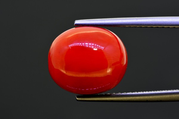 9.41 cts Natural Coral (Moonga)