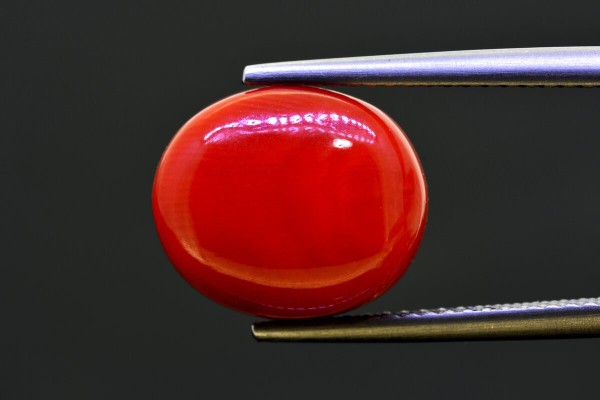 9.41 cts Natural Coral (Moonga)