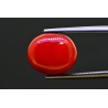 9.41 cts Natural Coral (Moonga)