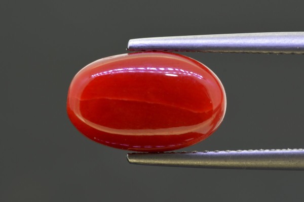 4.6 cts Natural Coral (Moonga)