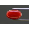 4.6 cts Natural Coral (Moonga)