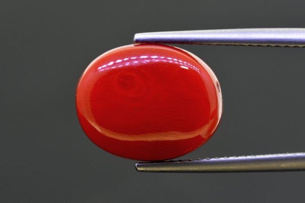 11.75 cts Natural Coral (Moonga)